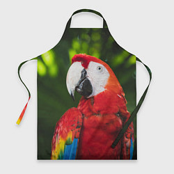 Фартук кулинарный Красный попугай Ара, цвет: 3D-принт