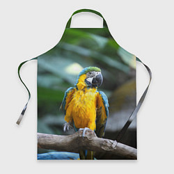 Фартук кулинарный Красавец попугай, цвет: 3D-принт
