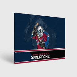 Холст прямоугольный Colorado Avalanche, цвет: 3D-принт