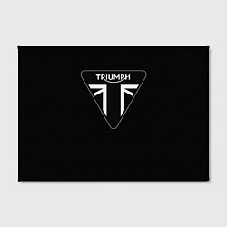 Холст прямоугольный Triumph 4, цвет: 3D-принт — фото 2