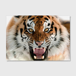 Холст прямоугольный Свирепый тигр, цвет: 3D-принт — фото 2