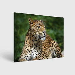 Холст прямоугольный Лик леопарда, цвет: 3D-принт