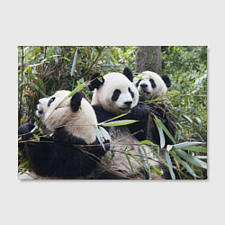 Холст прямоугольный Семейка панд, цвет: 3D-принт — фото 2