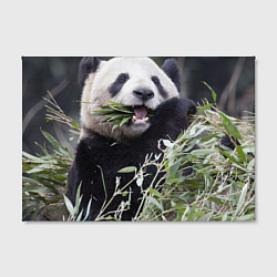 Холст прямоугольный Панда кушает, цвет: 3D-принт — фото 2