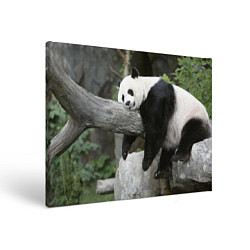 Холст прямоугольный Большая уставшая панда, цвет: 3D-принт