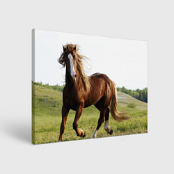 Холст прямоугольный Бегущая лошадь, цвет: 3D-принт