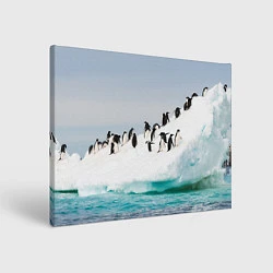 Холст прямоугольный Пингвины на айсберге, цвет: 3D-принт