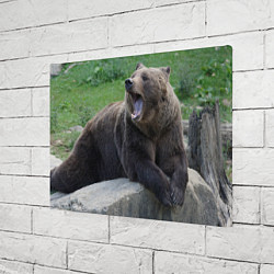 Холст прямоугольный Медведь, цвет: 3D-принт — фото 2