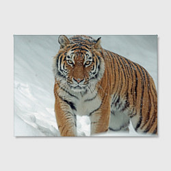 Холст прямоугольный Тигр, цвет: 3D-принт — фото 2