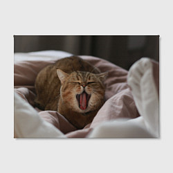 Холст прямоугольный Зевающий кот на кровати, цвет: 3D-принт — фото 2