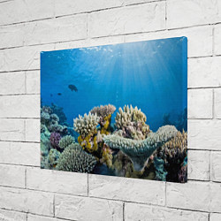 Холст прямоугольный Кораллы в тропических водах индийского океана, цвет: 3D-принт — фото 2