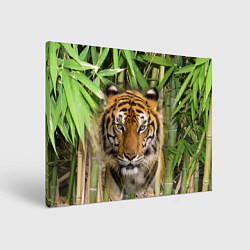 Холст прямоугольный Матёрый тигр в зарослях бамбука, цвет: 3D-принт