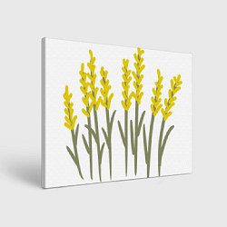 Картина прямоугольная Желтые полевые цветы