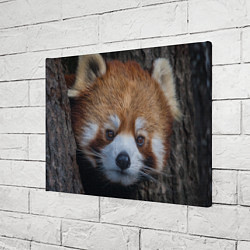 Холст прямоугольный Крaсная панда, цвет: 3D-принт — фото 2