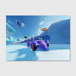 Холст прямоугольный Blaze the Cat - Team Sonic racing, цвет: 3D-принт — фото 2