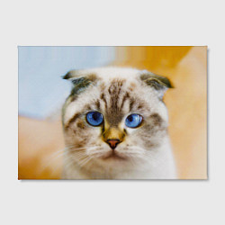 Холст прямоугольный Кошка породы шотландская вислоухая косоглазая, цвет: 3D-принт — фото 2