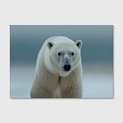 Холст прямоугольный Белый медведь полярный, цвет: 3D-принт — фото 2