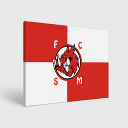 Холст прямоугольный FCSM мясо, цвет: 3D-принт