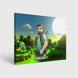 Холст прямоугольный Minecraft персонаж зеленый мир, цвет: 3D-принт