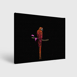 Холст прямоугольный Попугай пирата, цвет: 3D-принт