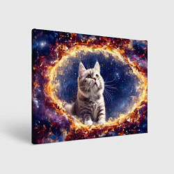 Холст прямоугольный Кошка шиншилла в космосе, цвет: 3D-принт