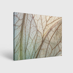 Холст прямоугольный Прожилки листика, цвет: 3D-принт
