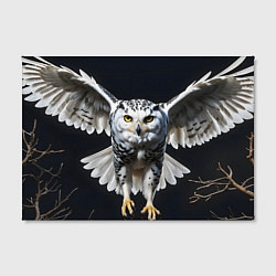 Холст прямоугольный Белая сова на темном фоне, цвет: 3D-принт — фото 2
