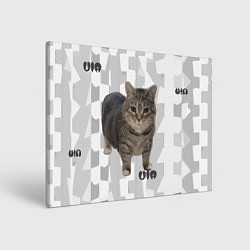 Холст прямоугольный Кот уиа, цвет: 3D-принт