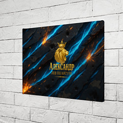 Холст прямоугольный Александр лев по натуре, цвет: 3D-принт — фото 2