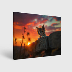 Холст прямоугольный Любопытный котёнок и закат, AIPs, цвет: 3D-принт