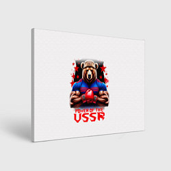 Холст прямоугольный USSR медведь, цвет: 3D-принт