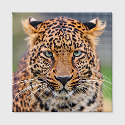 Холст квадратный Грустный леопард, цвет: 3D-принт — фото 2