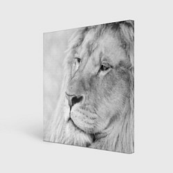 Холст квадратный Мудрый лев, цвет: 3D-принт
