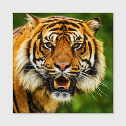 Холст квадратный Тигр, цвет: 3D-принт — фото 2
