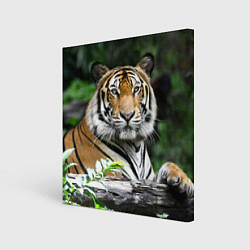 Холст квадратный Тигр в джунглях, цвет: 3D-принт