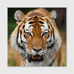 Холст квадратный Рык тигра, цвет: 3D-принт — фото 2