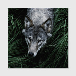 Холст квадратный Волк в траве, цвет: 3D-принт — фото 2