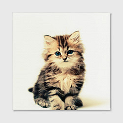 Холст квадратный Котёнок, цвет: 3D-принт — фото 2