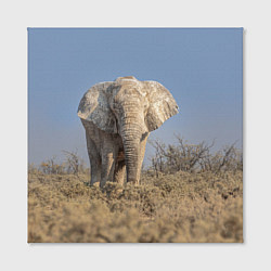 Холст квадратный Африканский белый слон, цвет: 3D-принт — фото 2