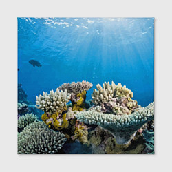 Холст квадратный Кораллы в тропических водах индийского океана, цвет: 3D-принт — фото 2