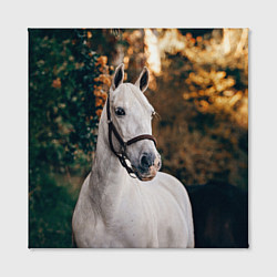 Холст квадратный Белая лошадка, цвет: 3D-принт — фото 2