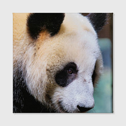 Холст квадратный Загадочная панда, цвет: 3D-принт — фото 2