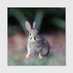 Холст квадратный Малыш кролик, цвет: 3D-принт — фото 2