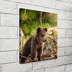 Холст квадратный Медвежонок красавец, цвет: 3D-принт — фото 2