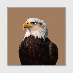 Холст квадратный Белоголовый орлан птица, цвет: 3D-принт — фото 2