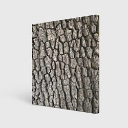 Холст квадратный Кора дерева, цвет: 3D-принт