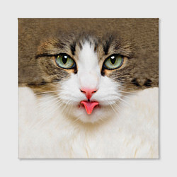 Холст квадратный Кошка показывает язык, цвет: 3D-принт — фото 2