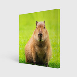 Холст квадратный Capybara on green grass, цвет: 3D-принт