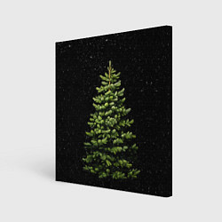 Картина квадратная Ель на темном фоне