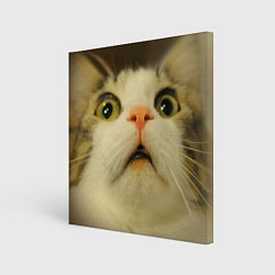 Холст квадратный Удивленный кот - мем крупным планом, цвет: 3D-принт